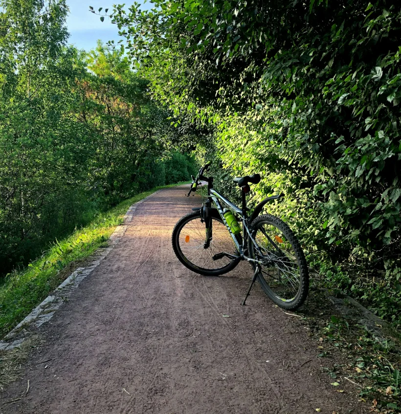Passeios de bicicleta por trilhos